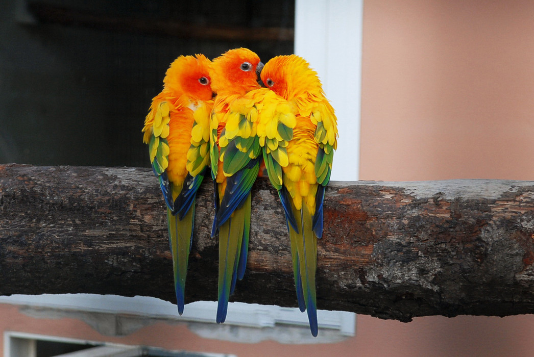 Herbst 2024 im Vogelpark Niendorf