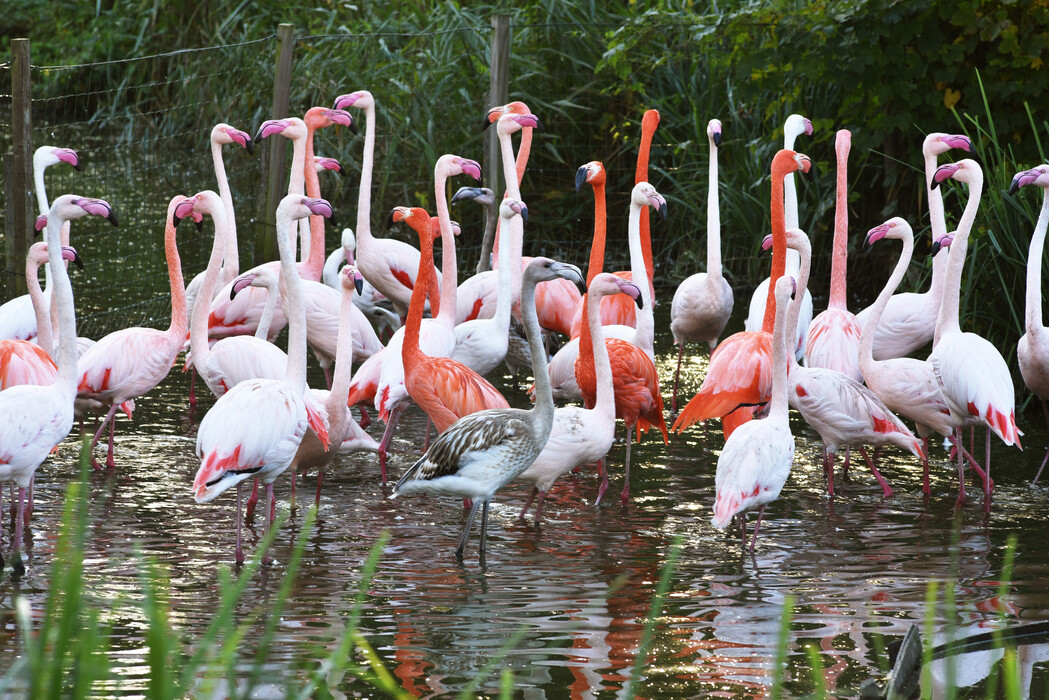 Herbst 2022 im Vogelpark